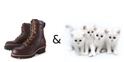 boots and cats
